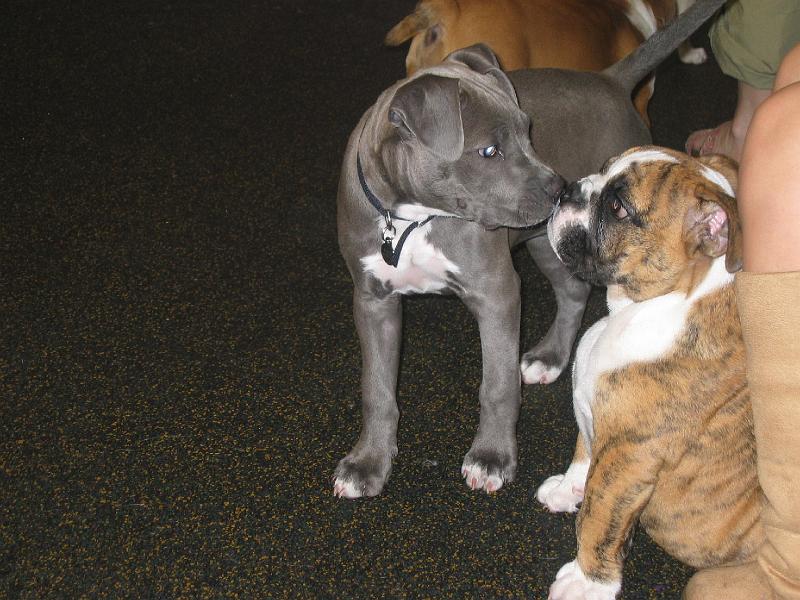 IMG_5587.JPG