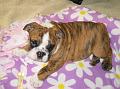 IMG_5377