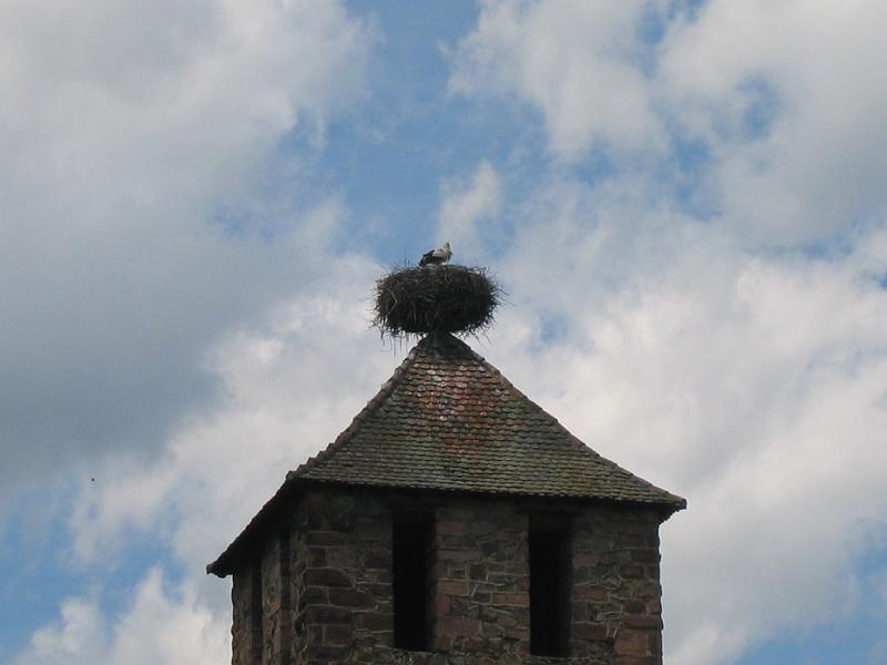 IMG_4421.JPG