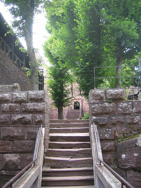 IMG_4495.JPG