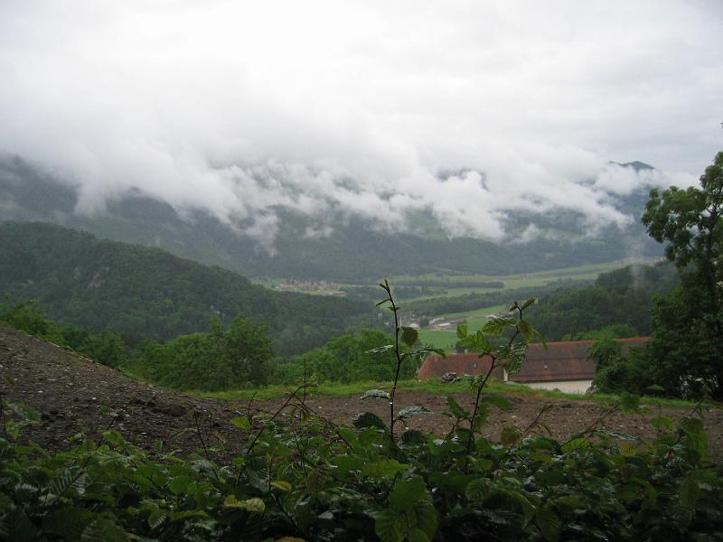 IMG_4339.JPG