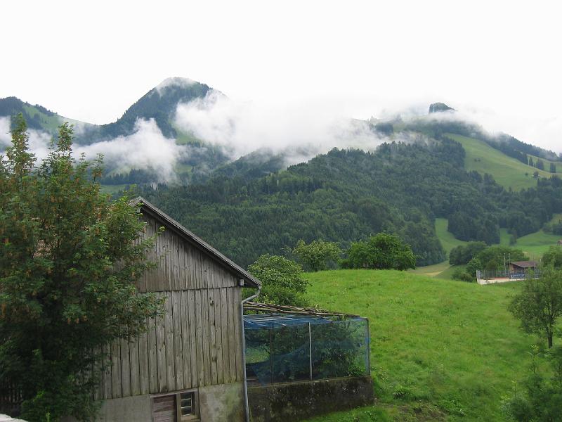 IMG_4363.JPG